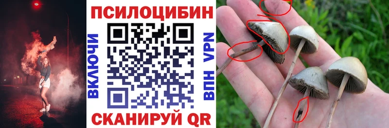 Псилоцибиновые грибы Magic Shrooms Заполярный